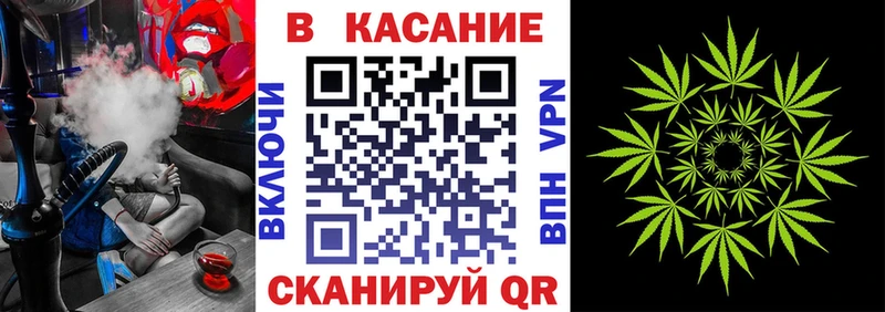 Бошки Шишки Мураши